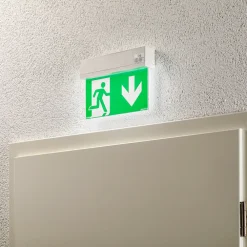 Arcchio LED-nødlys Nevian, oppladbart batteri, plexiglass, 19,8 cm høy Discount