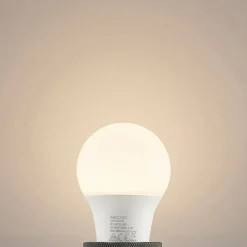 Arcchio LED-pære E27 A60 4,9W opal 3000K 480 lm| E27 Pærer|Led-Pærer