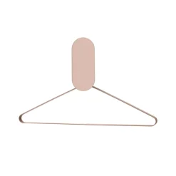 AYTM Veggkrok Ovali, speil, rosa, glass, tre, stål| Møbel Og Interiør