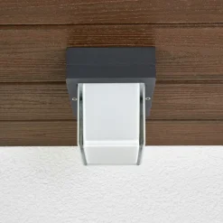 BEGA 22432K3 utendørs LED-vegglampe, grafitt 3000K| Kommersiell Utebelysning|Vegglamper Utendørs