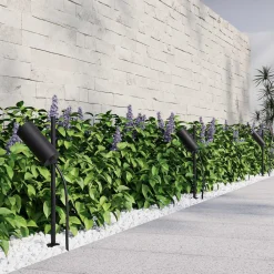 Molto Luce Chopa LED-bakkepigglampe, høydejusterbar lyskaster Sale