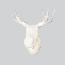 Northern Designervegglampe Moo - passer også utendørs| Vegglamper