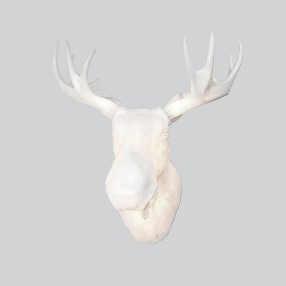 Northern Designervegglampe Moo - passer også utendørs| Vegglamper