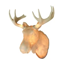 Northern Designervegglampe Moo - passer også utendørs| Vegglamper