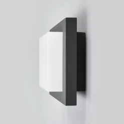 Lucande Diskret Celeste utendørs LED-vegglampe| Vegglamper Utendørs