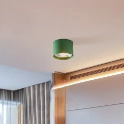 Argon Downlight Chloe fast, grønn| Spotter I Tak|Taklamper