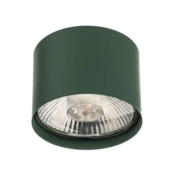 Argon Downlight Chloe fast, grønn| Spotter I Tak|Taklamper