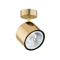 Argon Downlight Chloe, svingbar, 1 lyskilde, stål messingfarget| Spotter I Tak|Taklamper