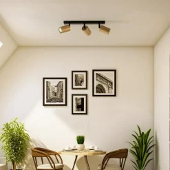 SIGMA Downlight Zoom, 3 lyskilder, svart/gull| Spotter I Tak