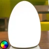 Smart&Green Egg - en app-styrt dekorativ lampe med oppladbart batteri New