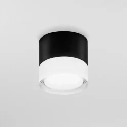 Egger Licht EGG DLS Phoenix utendørs taklampe 3000 K svart Ø 9 cm aluminium Online