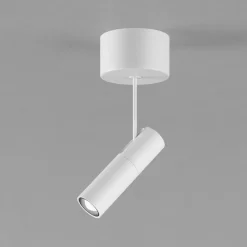 Egger Licht EGG DLS Zooom XL T downlight, 2700K hvit aluminium, dimbar Online