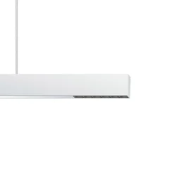 ERCO Compar P DALI oval wide hvit/svart 930| Skinnesystem