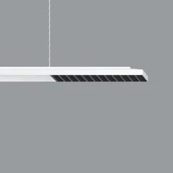 ERCO Jilly P DALI up/down oval wide hvit/svart 840 Hot