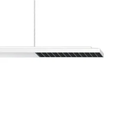 ERCO Jilly P DALI up/down oval wide hvit/svart 840 Hot