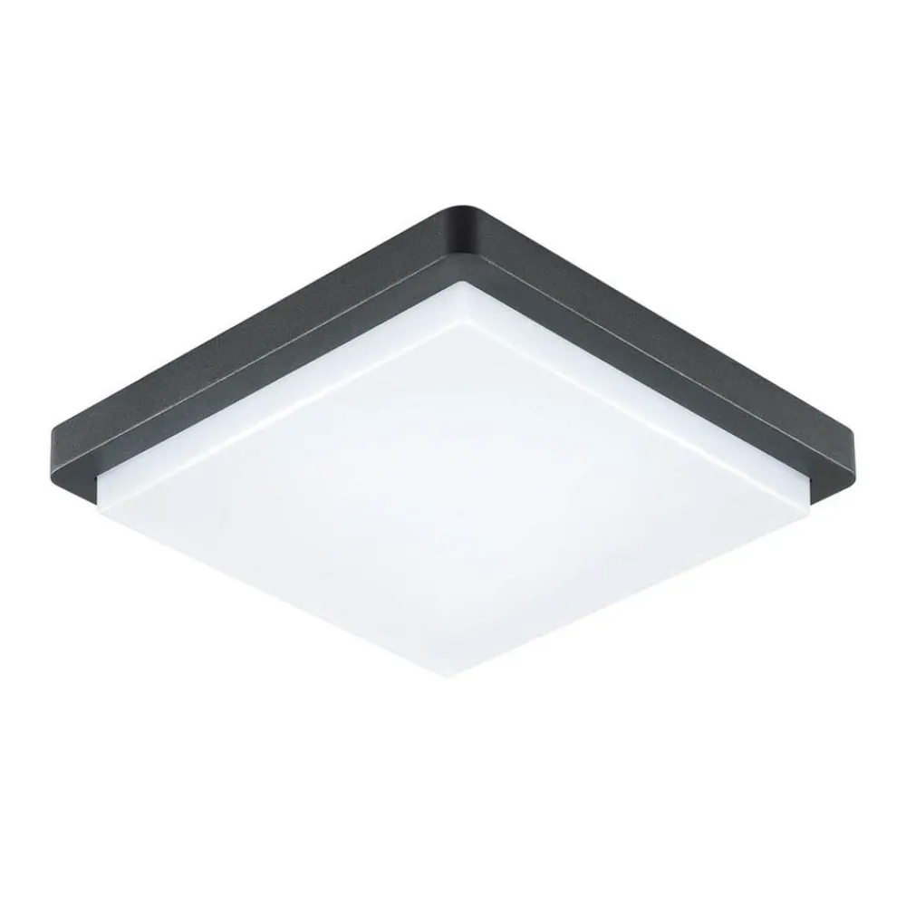 EVN LED utendørs taklampe Tectum, 23x23 cm, antrasitt, 150°, 150| Taklamper Utendørs