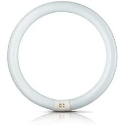 Philips G10q 22W 840 lysstoffring Master Circular TL-E Best