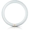 Philips G10q 22W 865 lysstoffring Master Circular TL-E| Lysrør|Lysrør