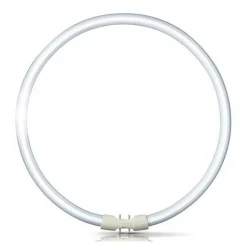 Philips 2GX13 60W 840 sirkellysrør Master TL5| Lysrør|Lysrør