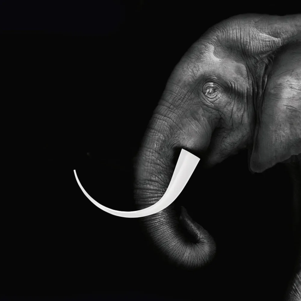 Kartell LED-bordlampe Taj, hvit, 62 cm, plast Best