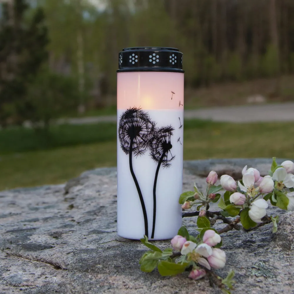 STAR TRADING LED gravlys Løvetann, 21 cm hvit/svart plast batteri Online