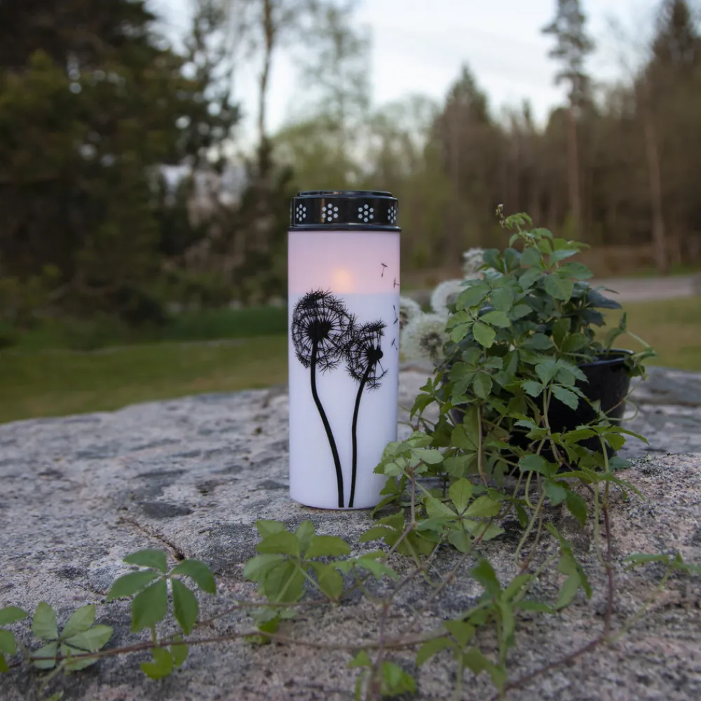 STAR TRADING LED gravlys Løvetann, 21 cm hvit/svart plast batteri Online