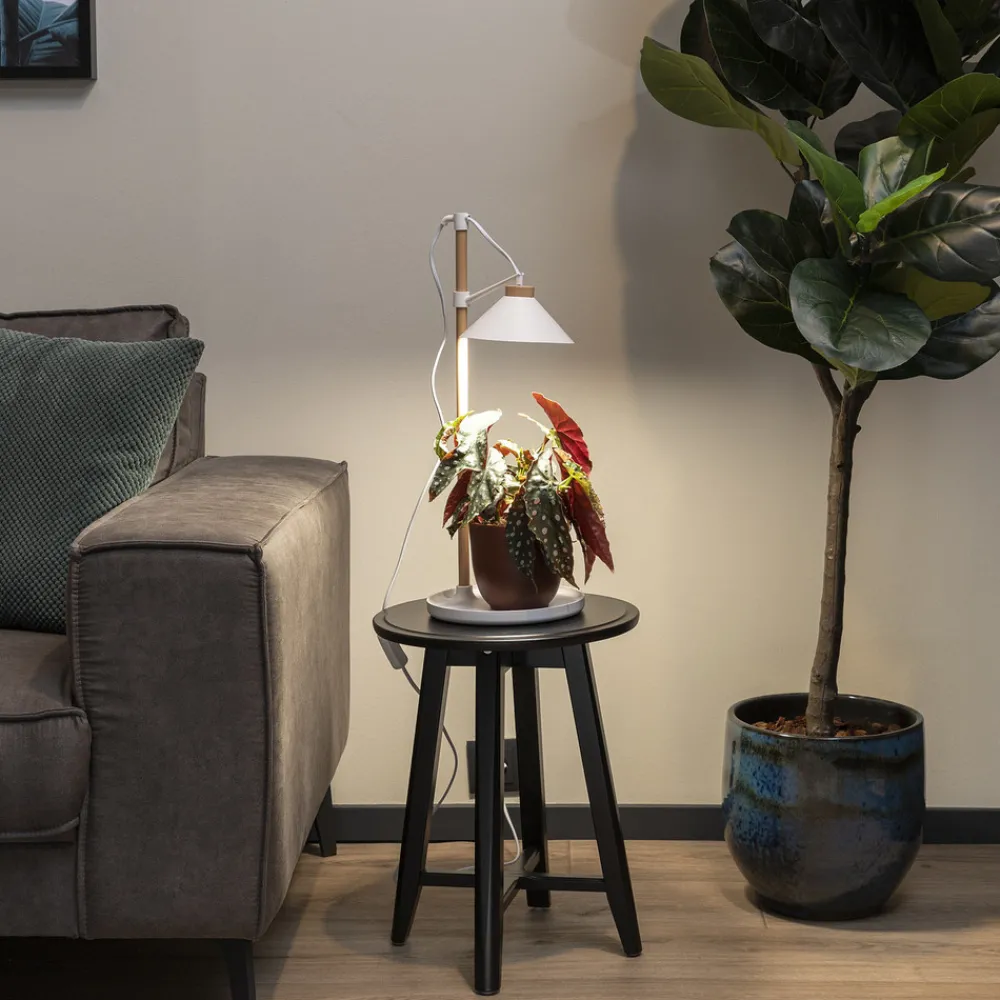 Smartwares LED plantelys ISL-60028 Best