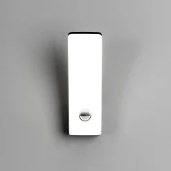 Eco-Light LED utendørs vegglampe Cairo, antrasitt, plast, sensor| Vegglamper Med Sensor