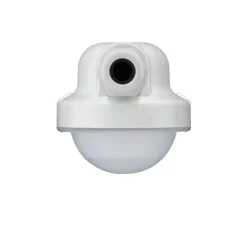 Philips Professional LED-diffusorlys WT120C G2 LED27S/840 PSD L1200 Online