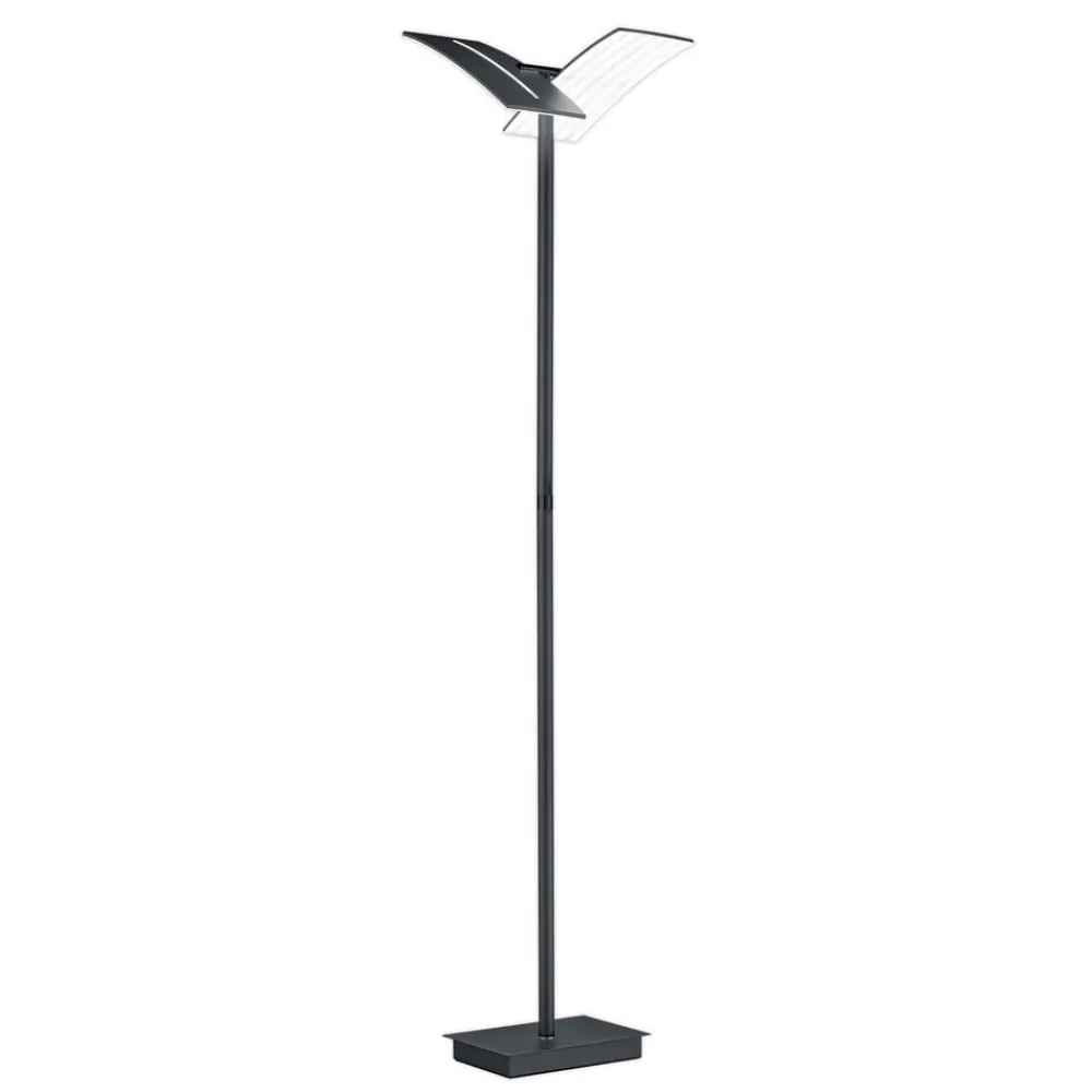 HELL LED-gulvlampe Dual CCT, dimbar, svart| Gulvlamper