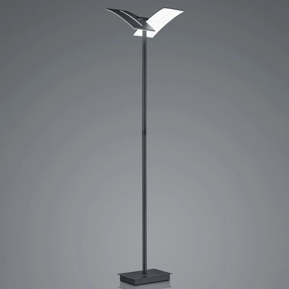 HELL LED-gulvlampe Dual CCT, dimbar, svart| Gulvlamper