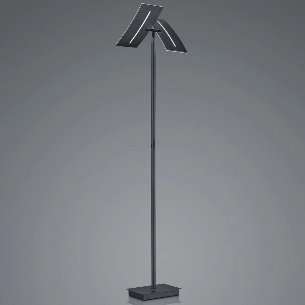 HELL LED-gulvlampe Dual CCT, dimbar, svart| Gulvlamper
