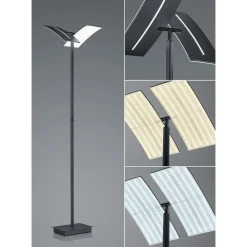 HELL LED-gulvlampe Dual CCT, dimbar, svart| Gulvlamper