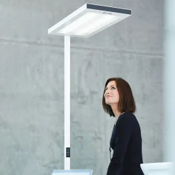 Waldmann LED-gulvlampe Lavigo DPS 14000, 4 000 K, hvit Clearance