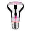 Paulmann LED-plantepære E27 R63 6,5W| Teknisk Lys|E27 Pærer