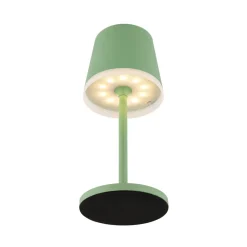 Globo LED-solcellelampe, metall, lysegrønn, høyde 41 cm, IP44 Outlet