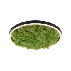 JUST LIGHT. GmbH LED-taklampe Green Ritus, mose, dimbar Ø39,3 cm Hot