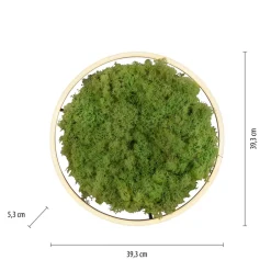 JUST LIGHT. GmbH LED-taklampe Green Ritus, mose, dimbar Ø39,3 cm Hot