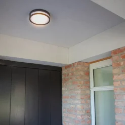 LUTEC LED-taklampe Rola, utendørs, antrasitt, Ø 18 cm Hot