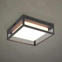 Trio Lighting LED-taklampe Witham IP54, CCT, antrasitt, utendørs Outlet