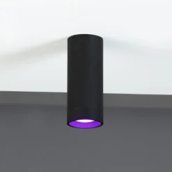 LUTEC LED-takspot Stag, CCT og RGBW, svart Online