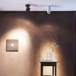 Deko-Light LED-takstrahler Lucea, justerbar, 30 W svart| Butikkbelysning