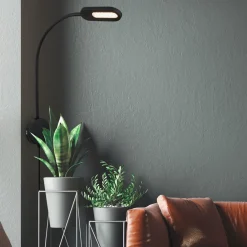 Briloner LED-vegglampe 2177015 med dimmer, svart New