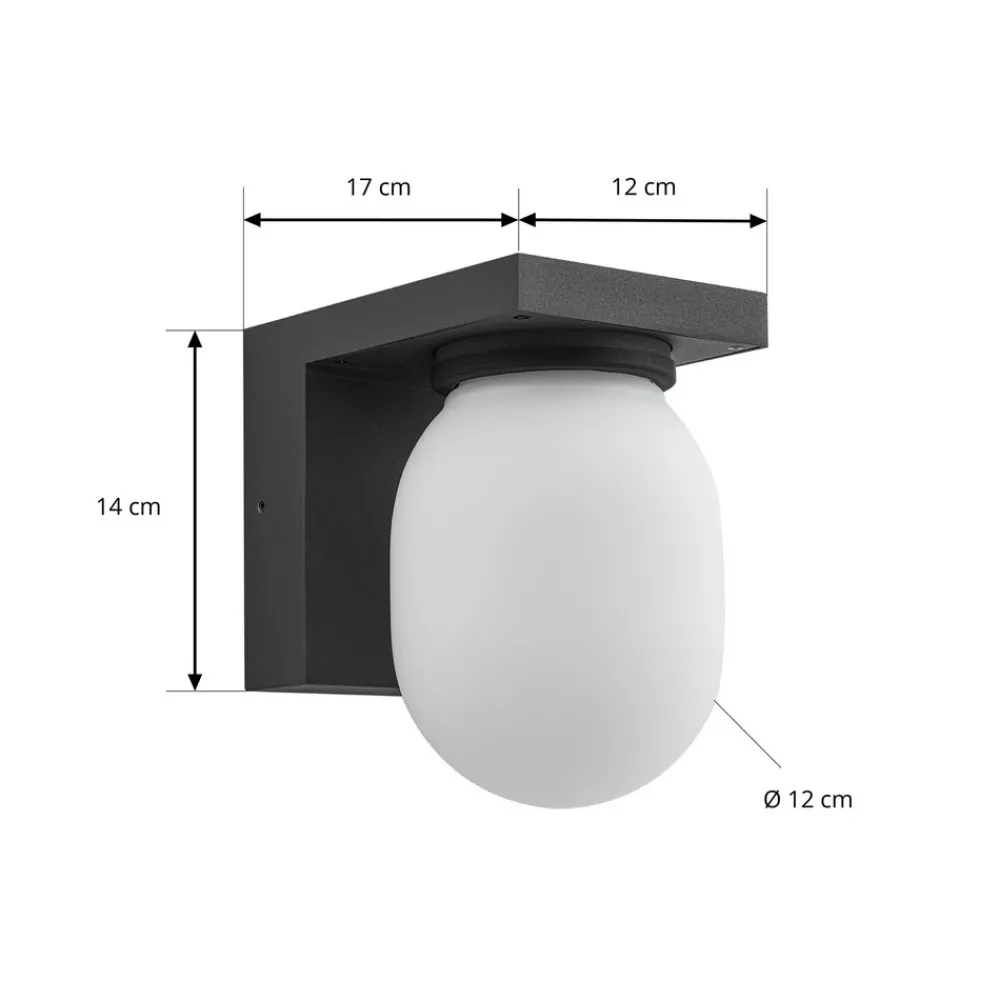 Lucande utendørs vegglampe Ovaali, glass, mørkegrå, IP65 Discount