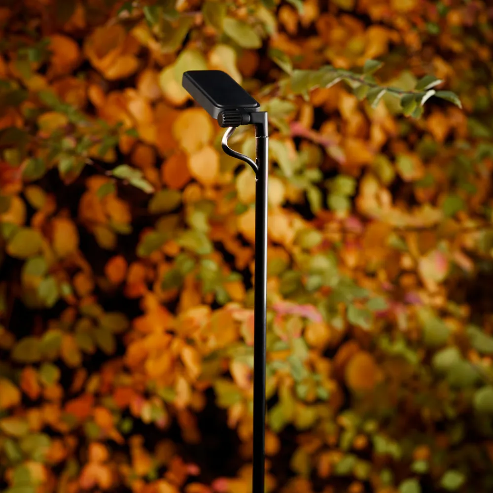 Luceplan LED-veilampe Flia, 180 cm høy, svart, plast New