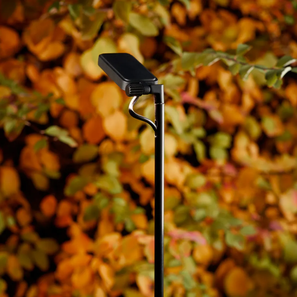 Luceplan LED-veilampe Flia, 120 cm høy, svart, plast Best