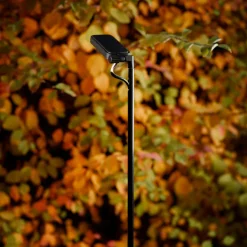 Luceplan LED-veilampe Flia, 2 lyskilder, svart, plast Discount