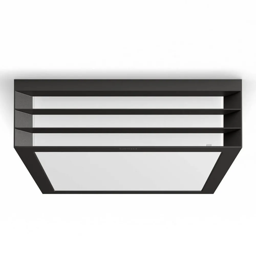 Philips Moonshine myGarden utendørs taklampe| Taklamper Utendørs