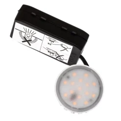 Paulmann 3-pakk LED innfelt lampe Coin Slim, hvit, IP23 Sale