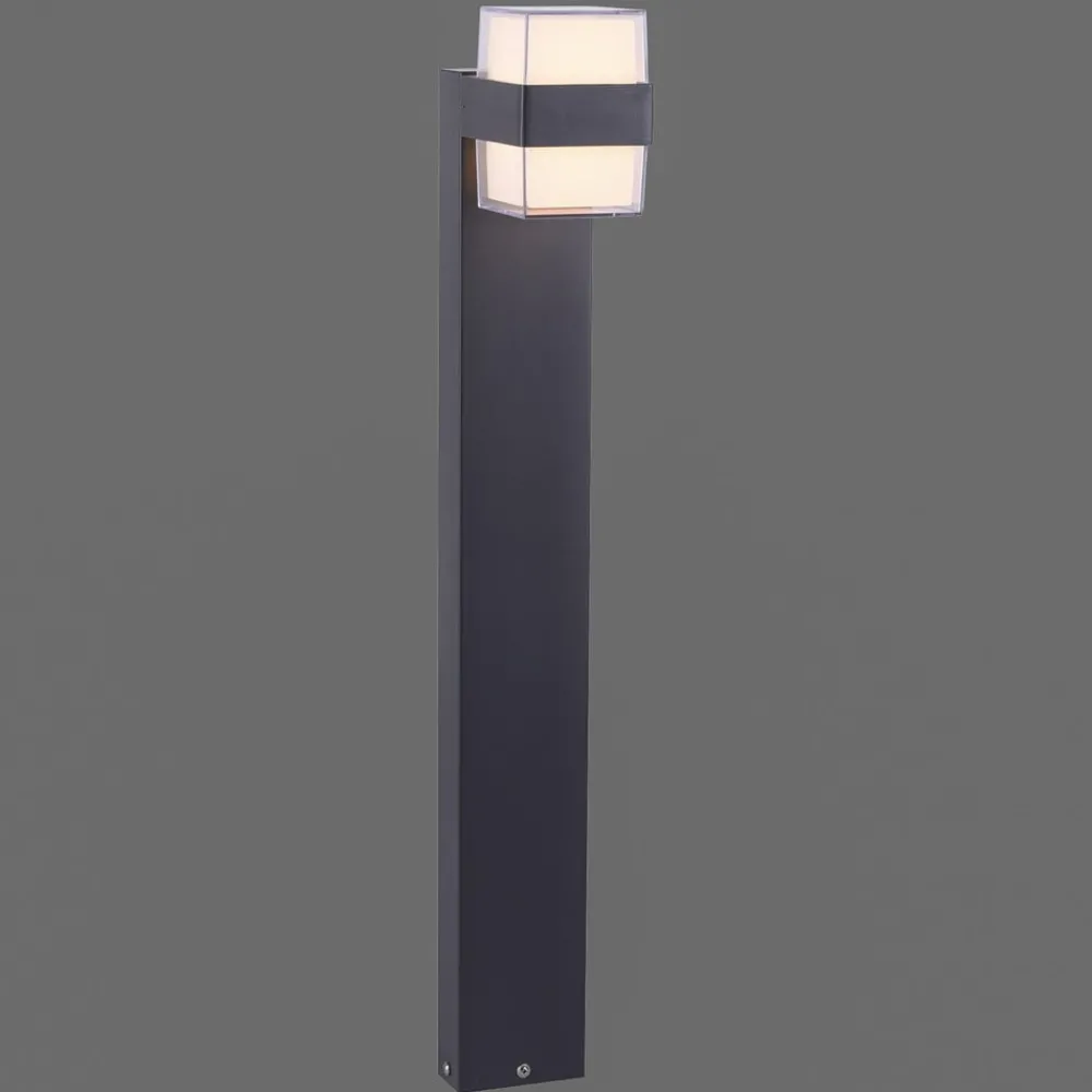 Paul Neuhaus Cara LED-veilampe up/down